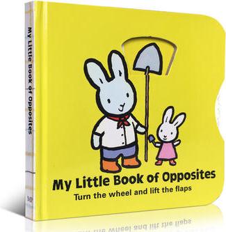 My Little Book of Opposites