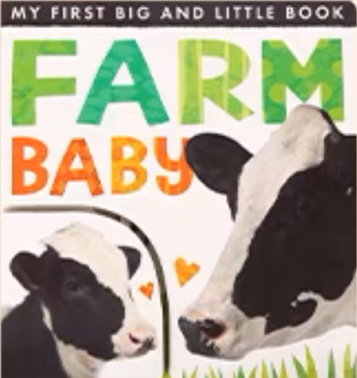 My First Big And Little book   Farm Ba