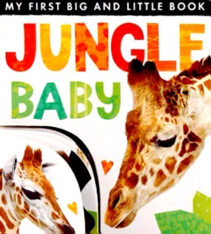 My First Big And Little Book   Jungle 