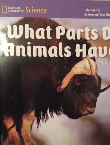 What Parts Do Animals Have?