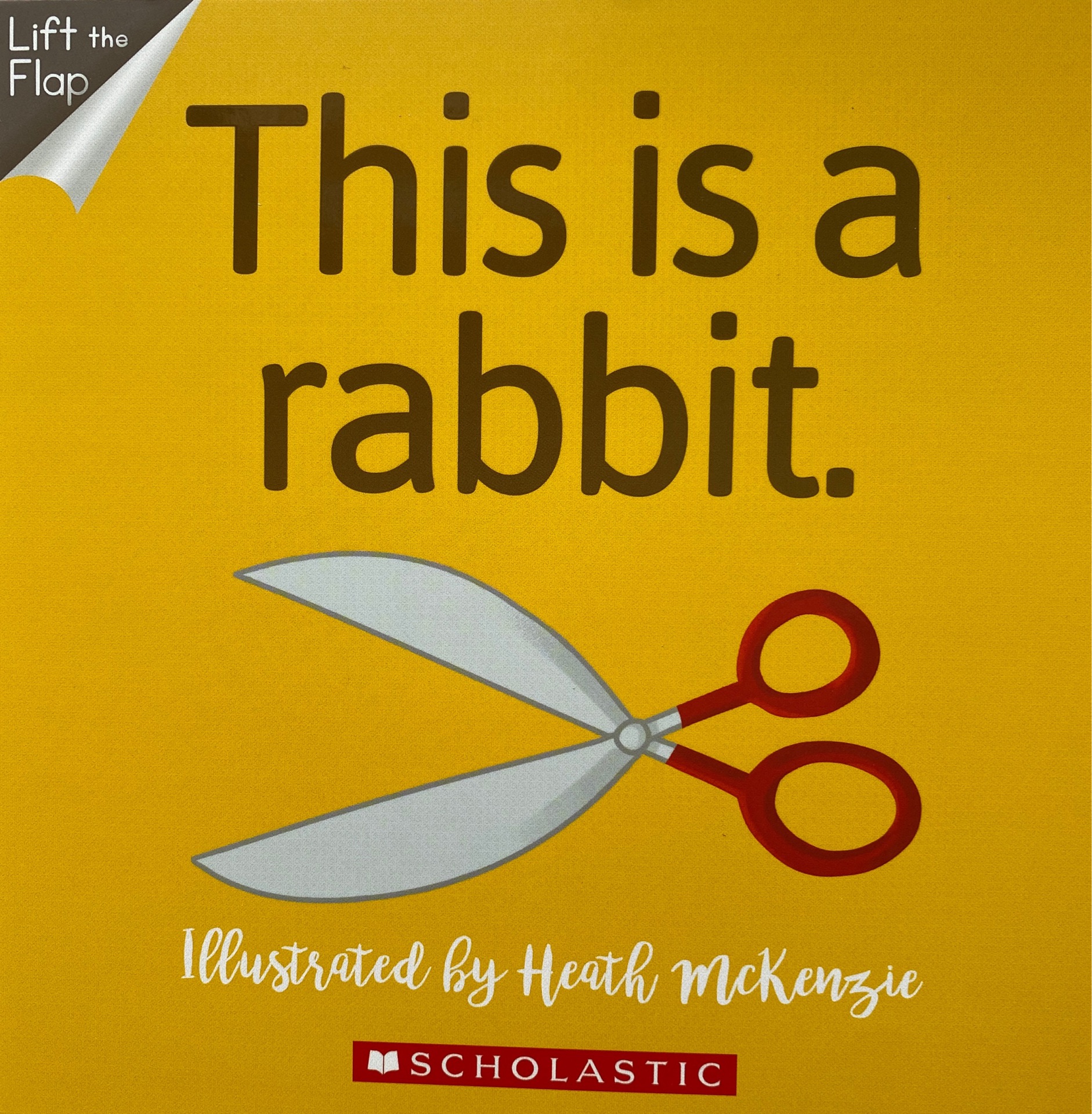 this is a rabbit