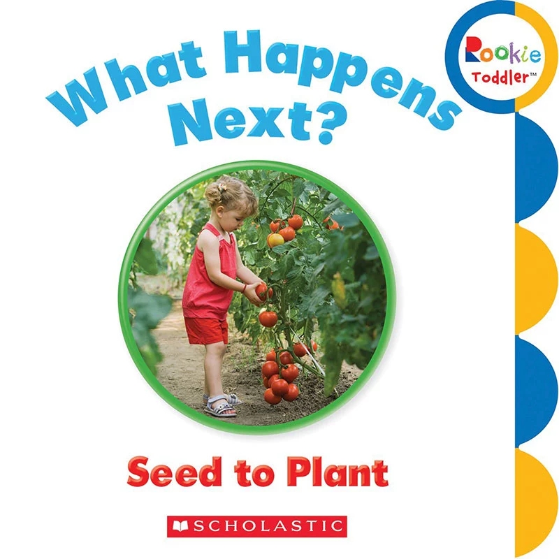 What Happens Next? Seed to Plant(Rooki