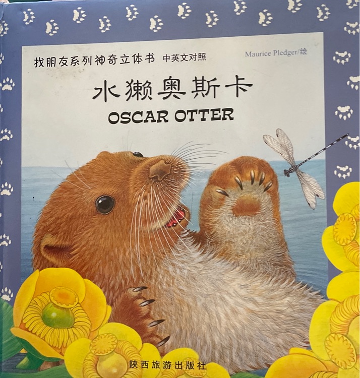 找朋友系列神奇立体书(中英文对照)