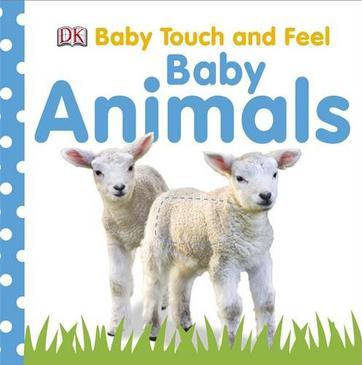 Baby Animals
