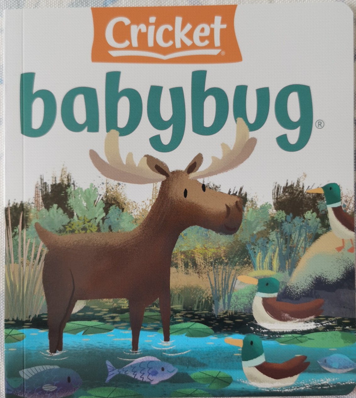虫宝宝杂志babybug 2021.07/08