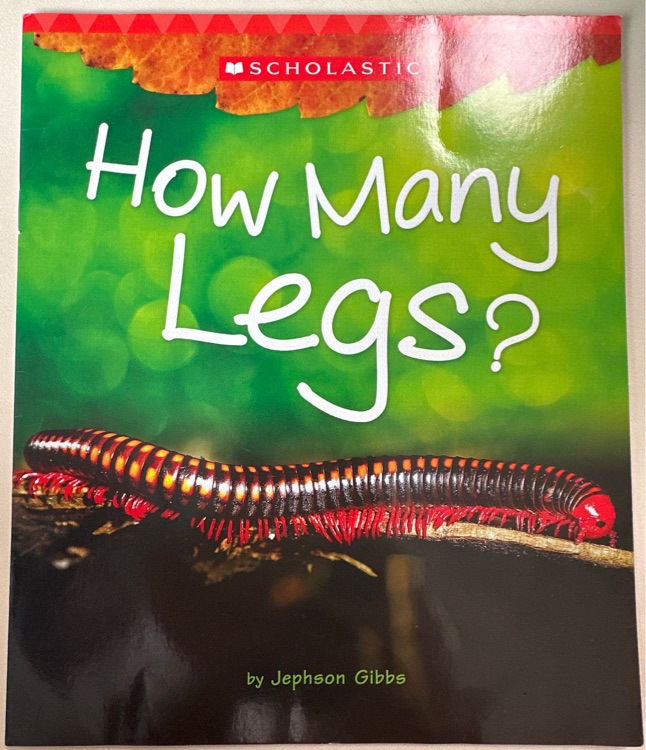 How many legs
