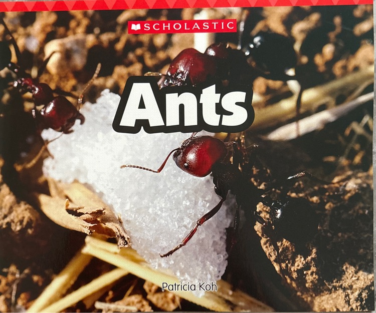 ants