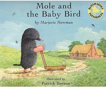 Mole and the Baby Bird
