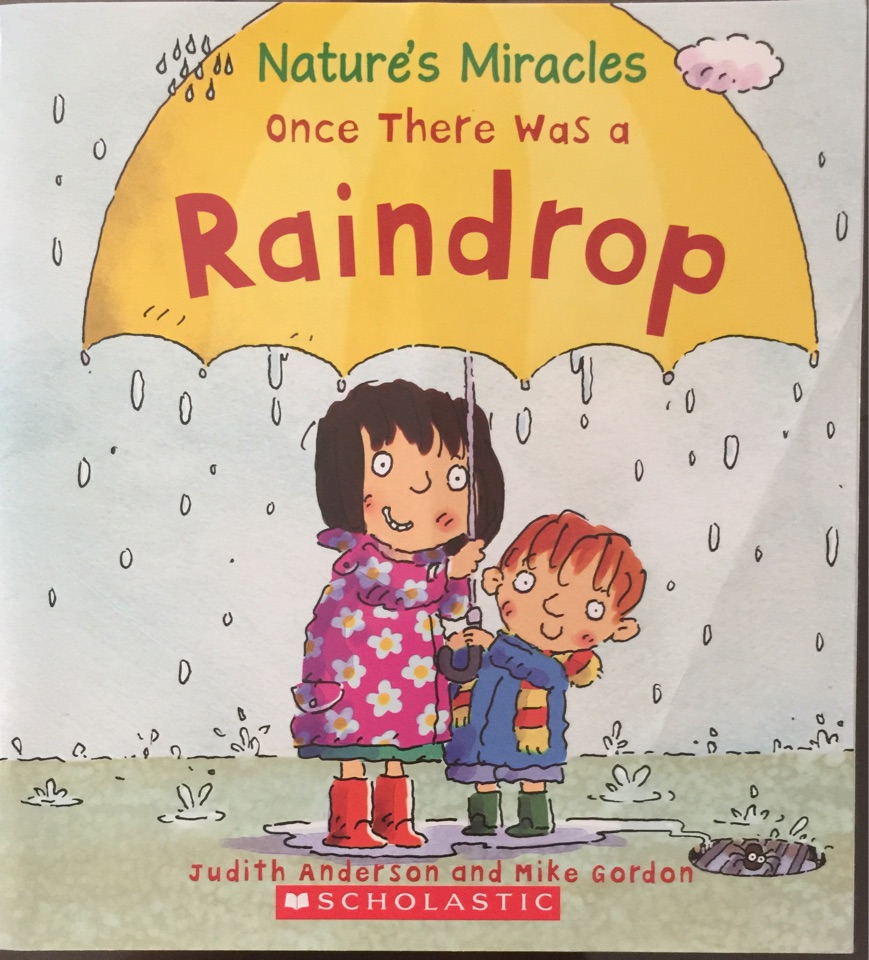 Raindrop
