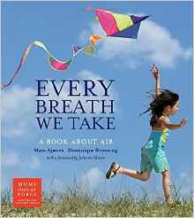 Every Breath We Take: A Book About Air