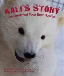 Kali's Story: An Orphaned Polar Bear R