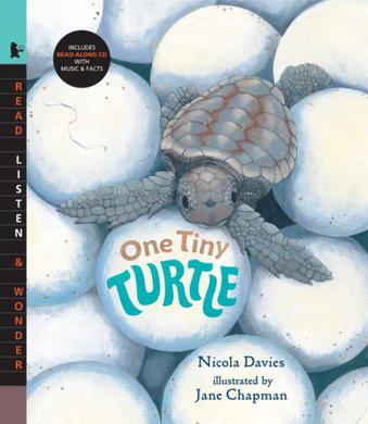 One Tiny Turtle
