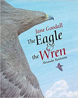 The Eagle & the Wren (minedition minib