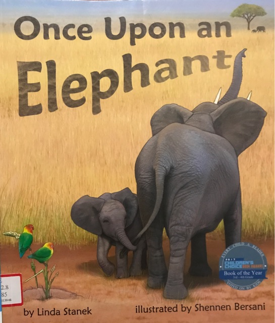 Once upon an elephant