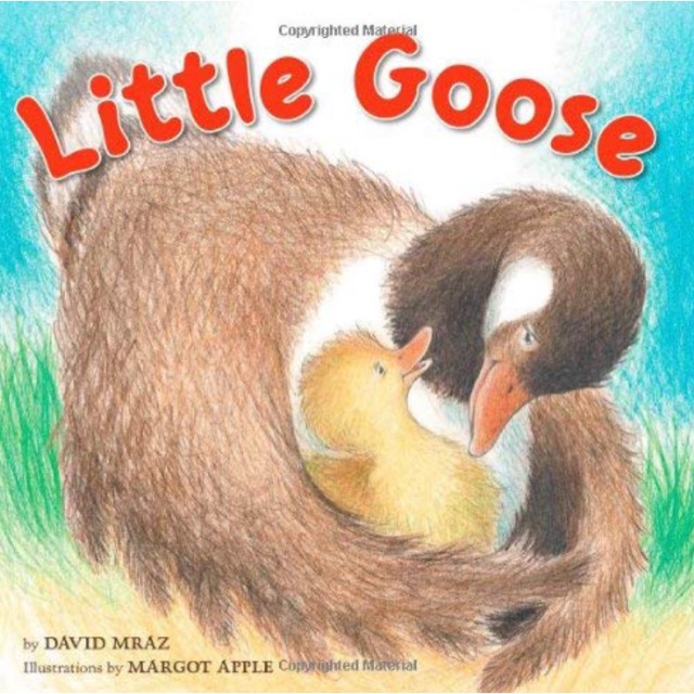 Little Goose