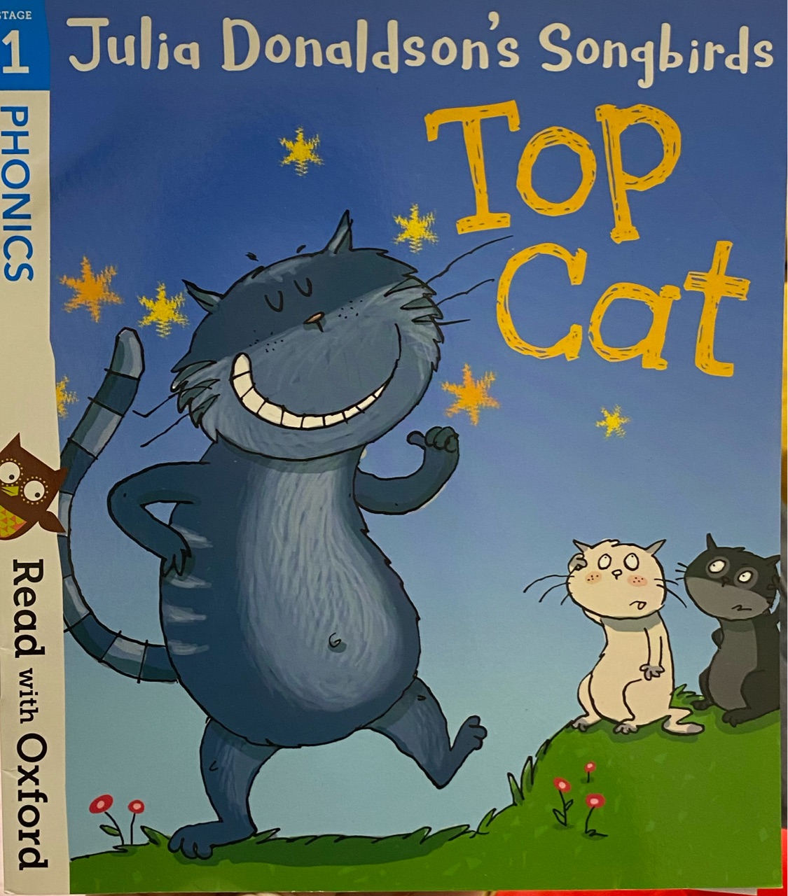 Oxford Reading Tree Songbirds Phonics 