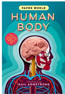 Human Body