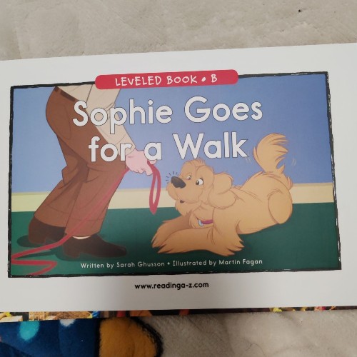 Sophie goes for a walk