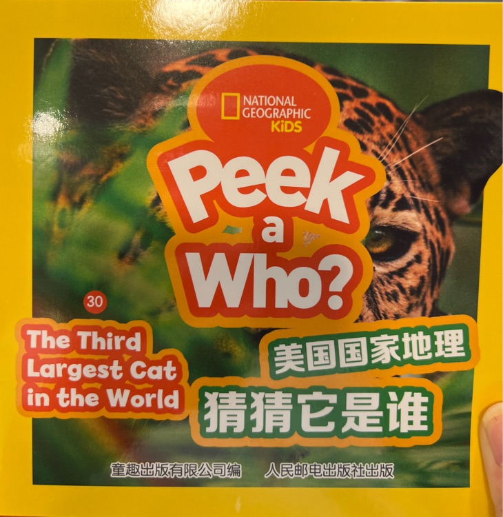 peek a who? 30-the third largest cat i