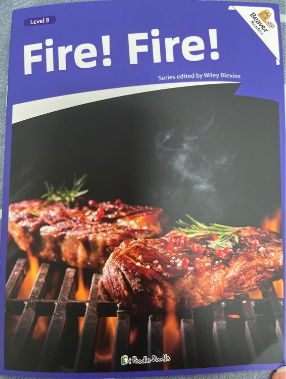 海狸新闻事件绘本(15册)Fire!Fire!