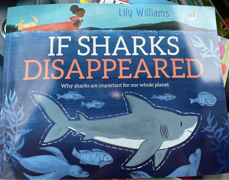 If sharks disappeared