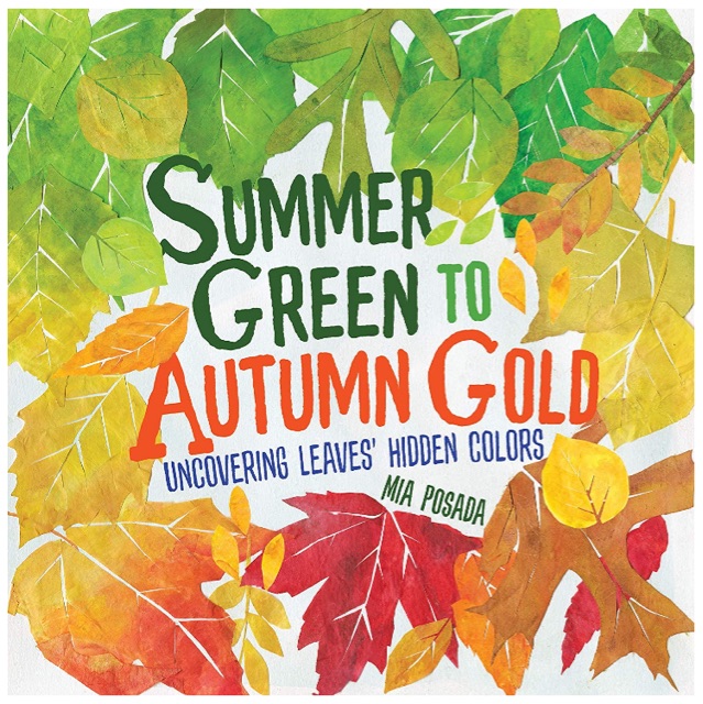 Summer Green to Autumn Gold: Uncoverin