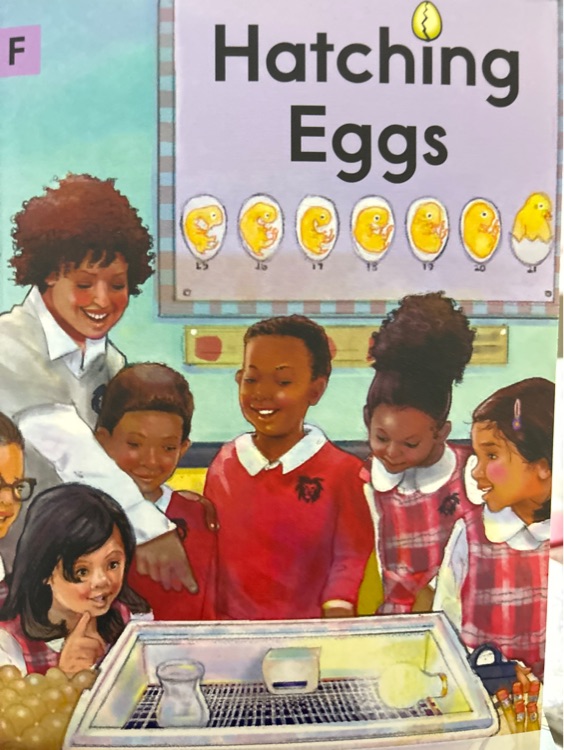 hatching eggs
