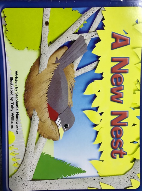 A New Nest