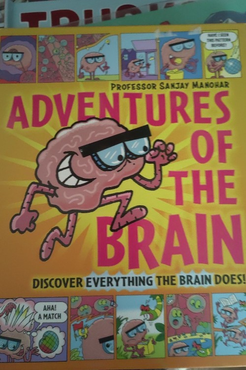 adventures of the brain