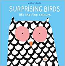 Surprising Birds: Lift-the-Flap Colour
