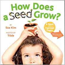 How Does a Seed Grow?: A Book with Fol