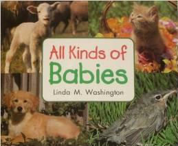 Lbd Gkb Nf All Kinds of Babies