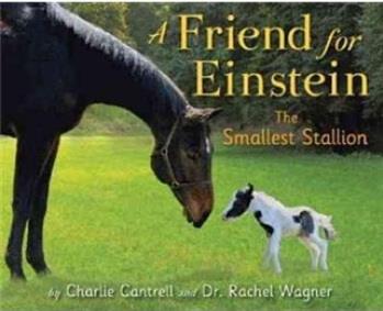 A Friend for Einstein the Smallest Sta