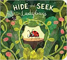 Hide-and-Seek Ladybugs
