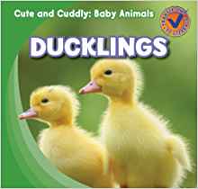 Ducklings (Cute and Cuddly: Baby Anima
