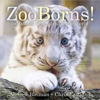 ZooBorns!: Zoo Babies from Around the 