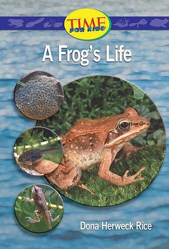 A Frog's Life