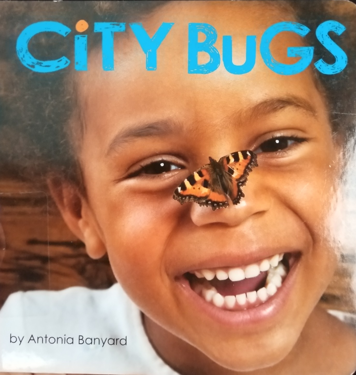 city bugs