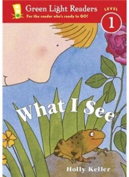 What I See