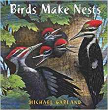 Birds Make Nests