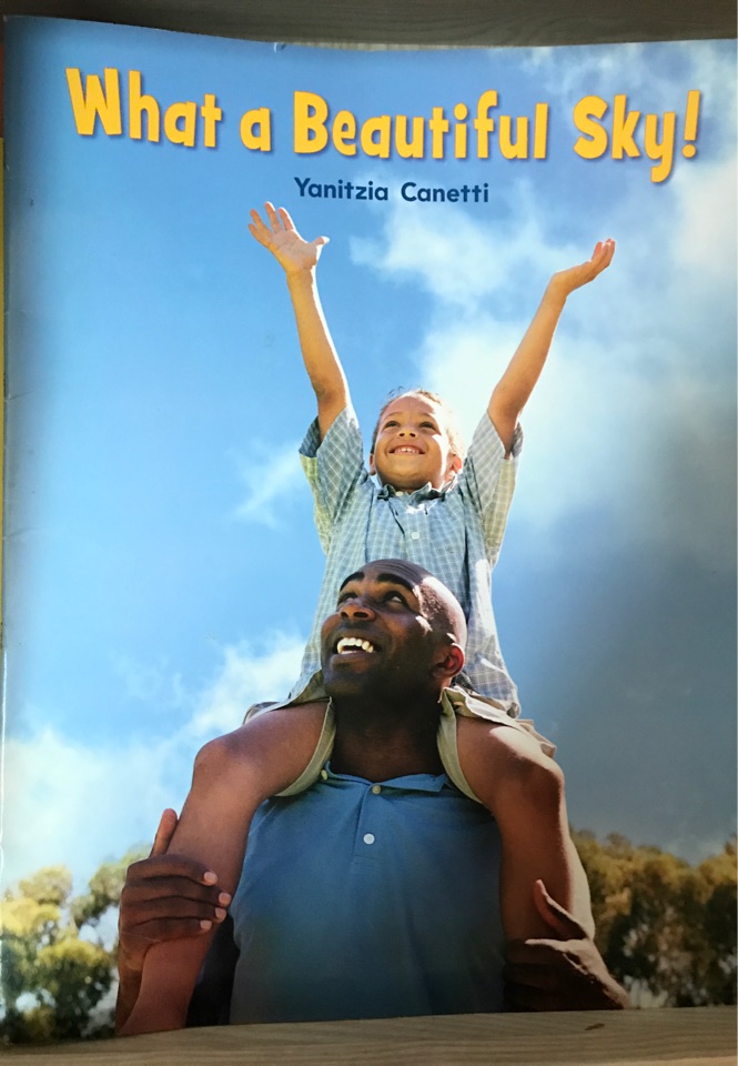 Journeys: Big Book Grade K What a Beau
