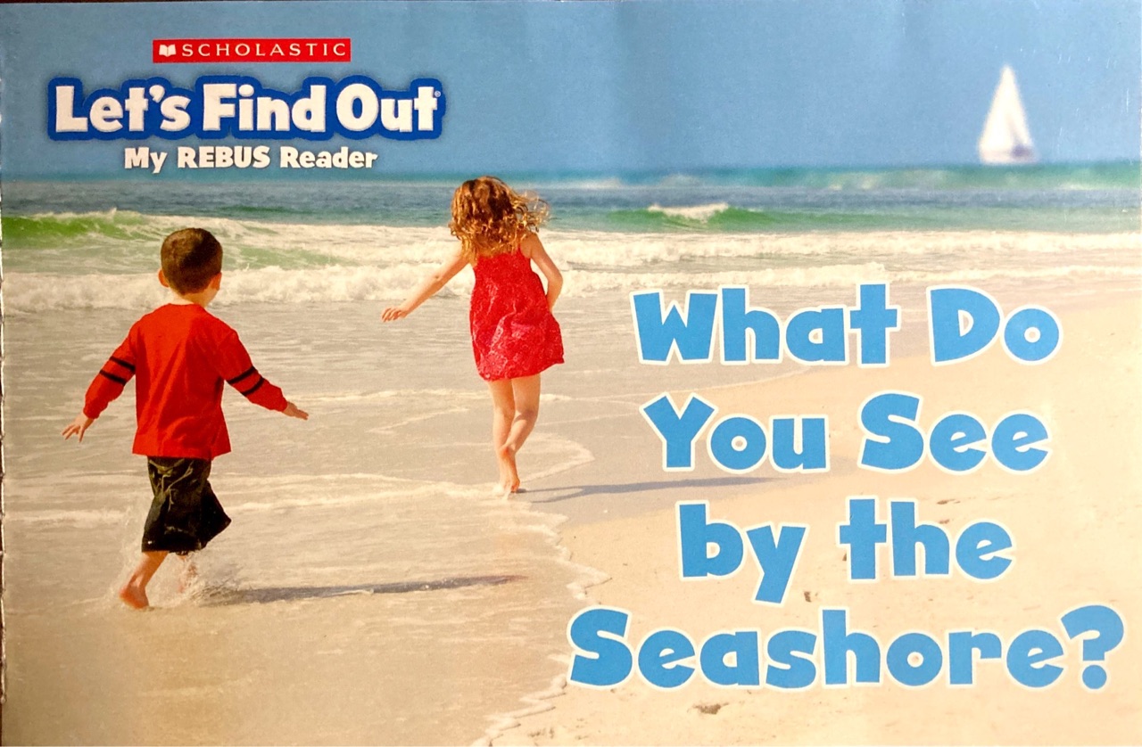 What do you see by the seashore