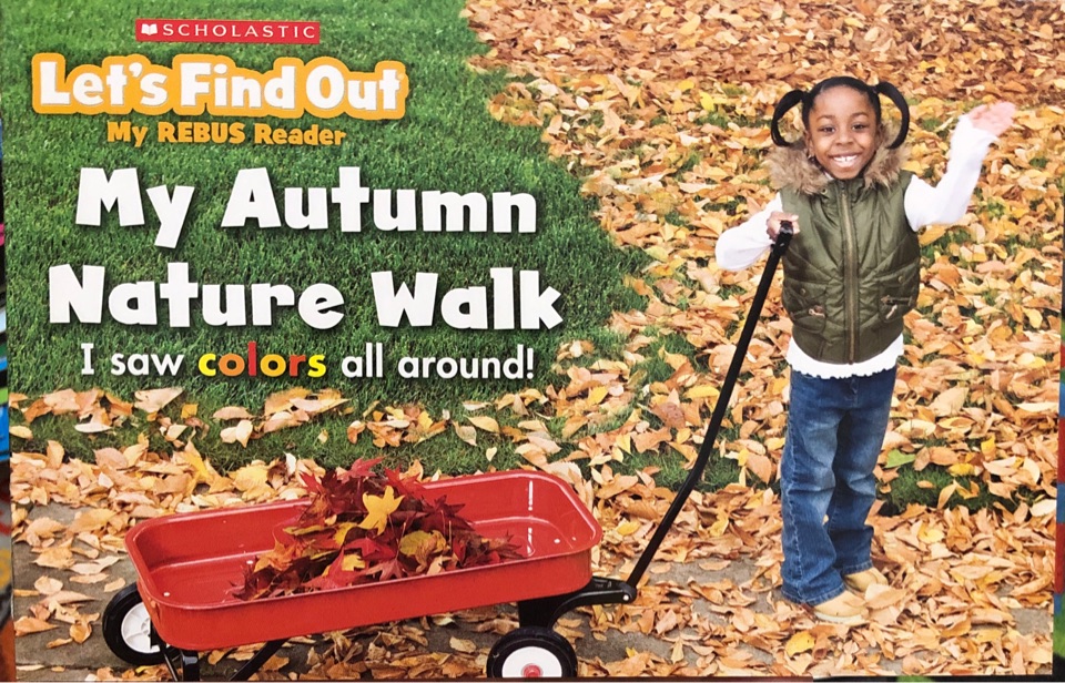 My Autumn Nature Walk