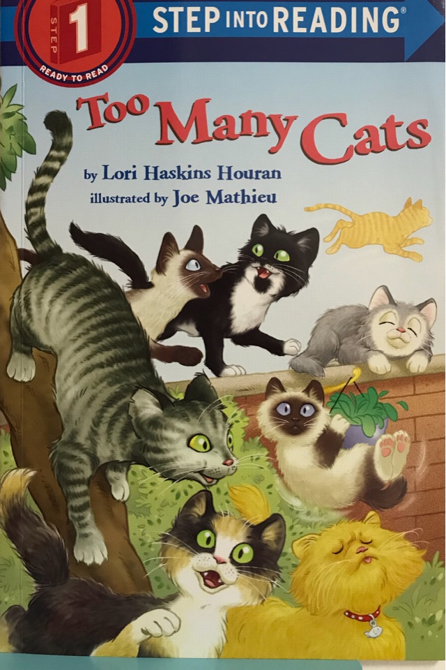 Step into Reading 1: Too Many Cats