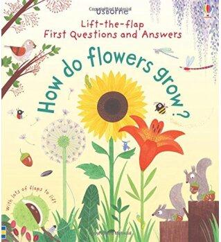 First Lift-the-flap Questions and Answ