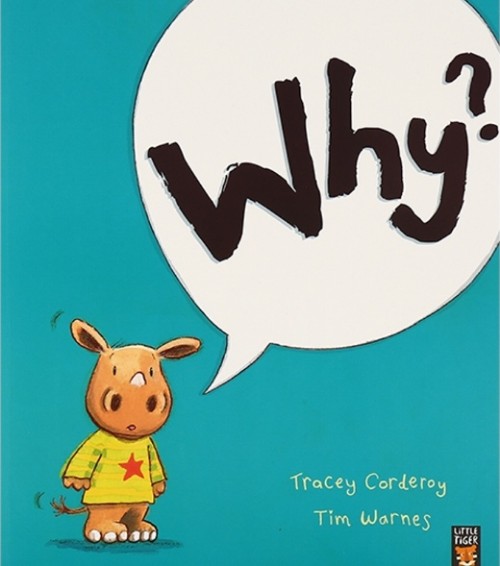 Why? (小犀牛艾奇)