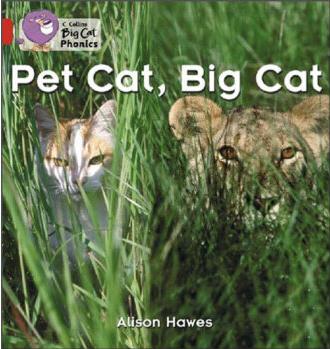 Pet Cat, Big Cat(Collins Big Cat Phoni