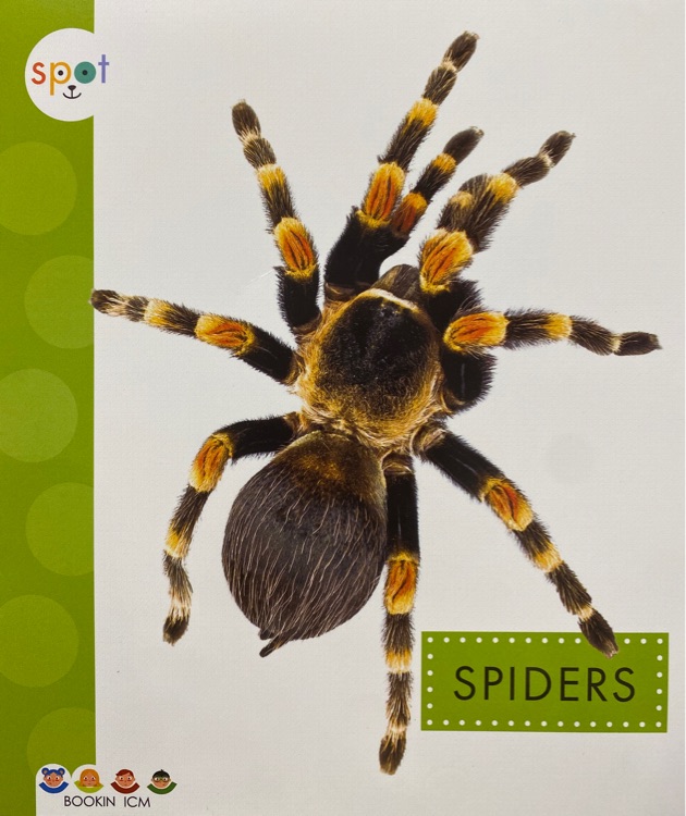 spiders