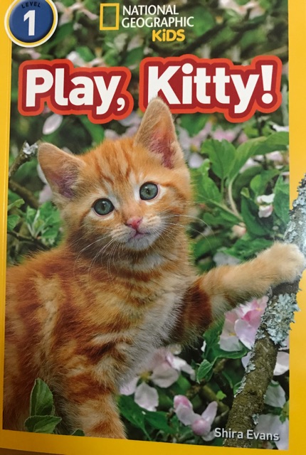 Play,kitty!