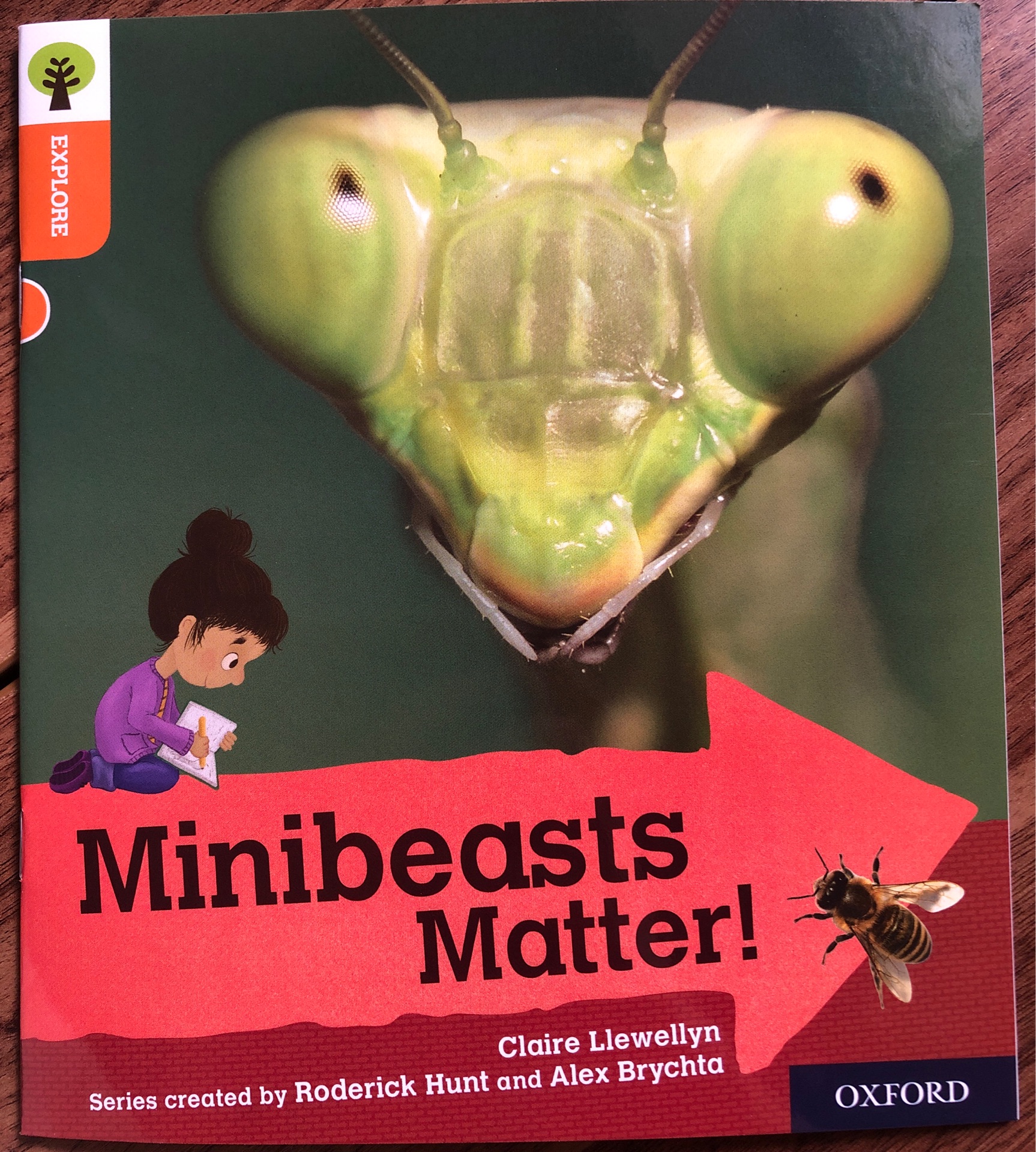 ORT L6 : Minibeasts Matter
(Oxford Rea
